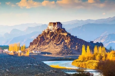 Manali Honeymoon Package