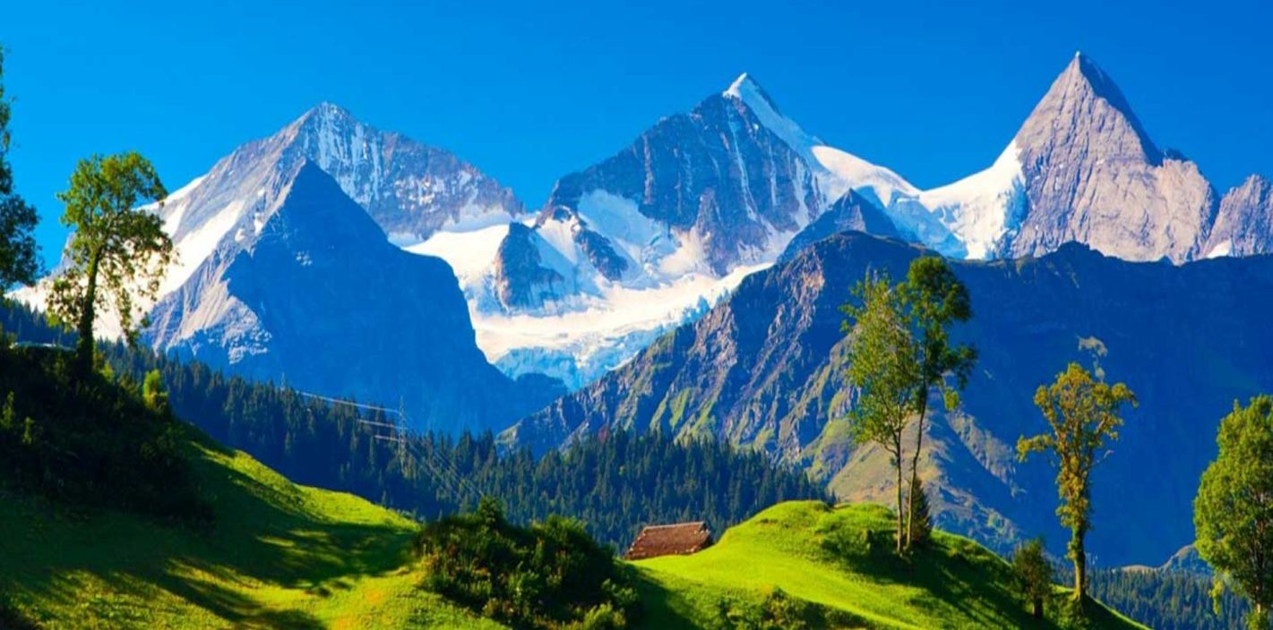 Vacation Holiday Trip