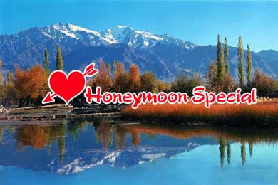 Honeymoon in Manali